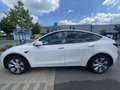 Tesla Model Y Standard Range RWD (innen Weiß+artikel) - thumbnail 13