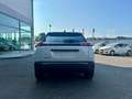 Peugeot 2008 2008 PureTech 100 S&S Allure Bianco - thumbnail 6