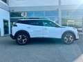 Peugeot 2008 2008 PureTech 100 S&S Allure Bianco - thumbnail 4