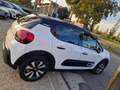 Citroen C3 2023 1.2 puretech Shine GPL 58.000KM COME NUOVA Bianco - thumbnail 3
