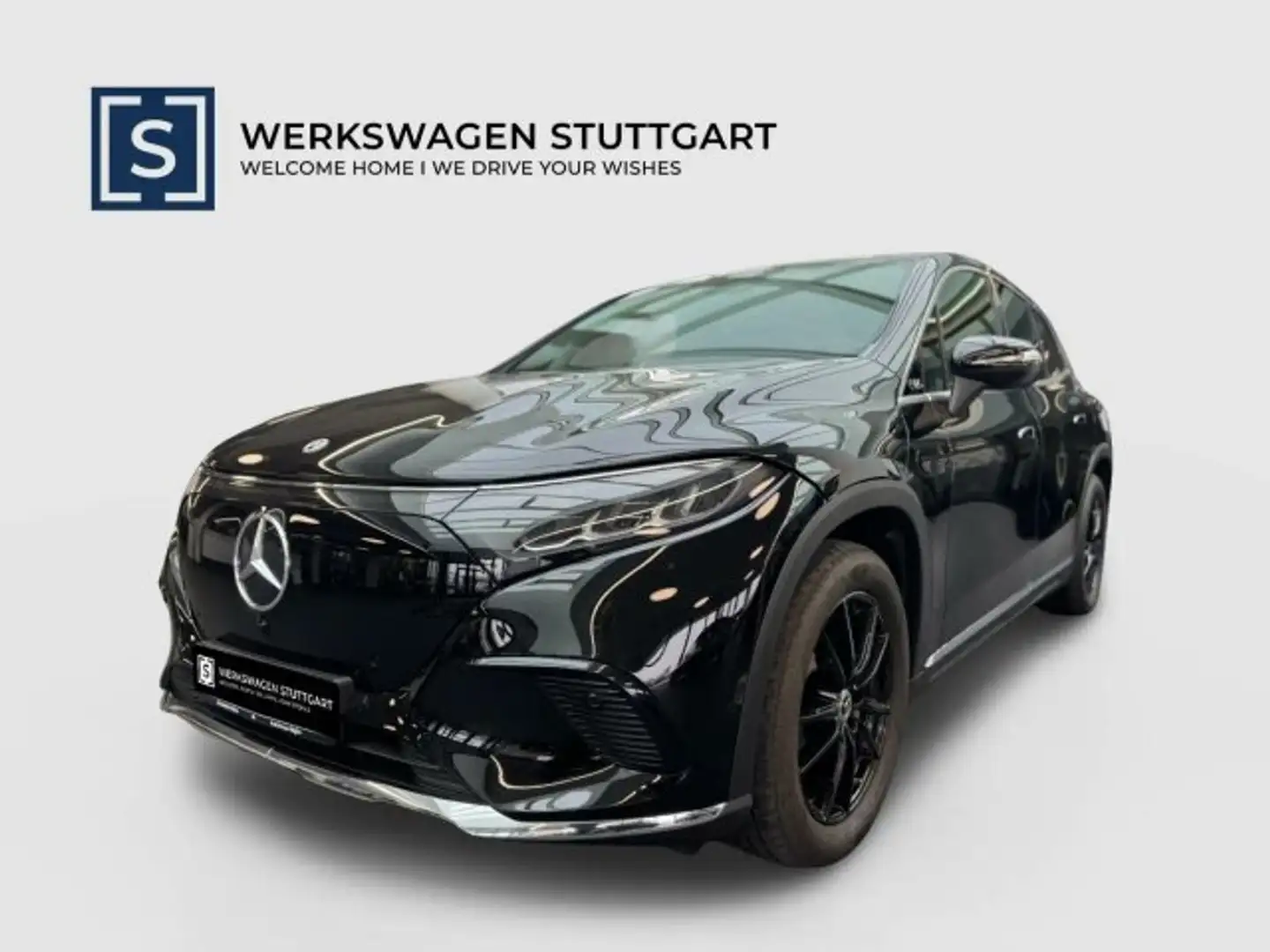 Mercedes-Benz EQS SUV EQS SUV 500 4M 21"-AMG Airmatic HA-Lenk Distronic Negro - 1
