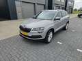 Skoda Karoq Karoq 1.0 TSI Amb. Business Grijs - thumbnail 1