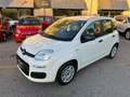 Fiat Panda HYBRID Neopatentati 1.0 S&S PROMO FINANZIAMENTO Blanc - thumbnail 1