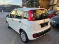 Fiat Panda HYBRID Neopatentati 1.0 S&S PROMO FINANZIAMENTO bijela - thumbnail 4