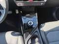 Kia Niro 1.6 Plug-in Hybrid Spirit TECH RELAX PAKET Albastru - thumbnail 9