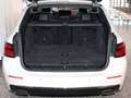 BMW 520 d xDrive Tour. Laser Pano. DrivAss. HUD ACC Weiß - thumbnail 13