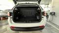 Jeep Compass 1.5 MHEV Longitude FWD DCT Blanco - thumbnail 11
