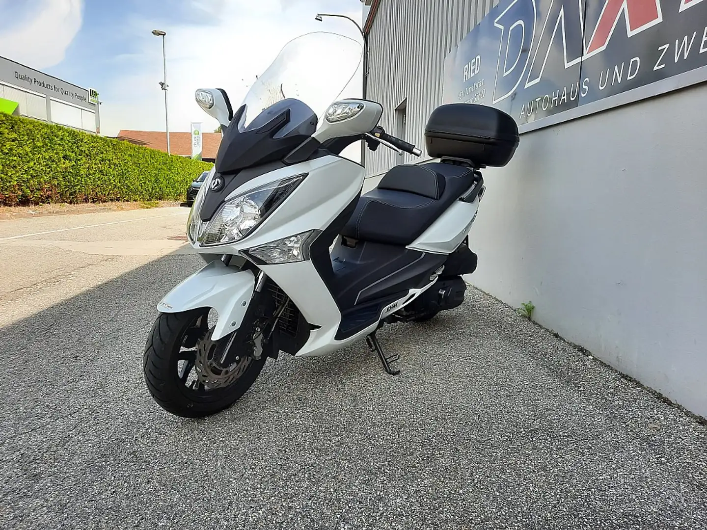 SYM GTS 300 - € 56,49 monatlich Bianco - 2