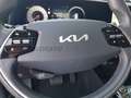 Kia Niro Niro EV 64,8 kWh Business Grijs - thumbnail 24