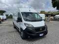 Fiat Ducato 35 2.2 Mjt 160CV L2 H2 Furgone MAXI PORTATA 1235kg bijela - thumbnail 2