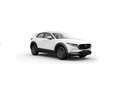 Mazda CX-30 2.5L e-SKYACT G MHEV 103kW Prime-Line MT Blanco - thumbnail 9