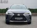 Lexus UX 250h Black Line+cam+gps+sens V+A Grau - thumbnail 2