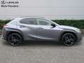 Lexus UX 250h Black Line+cam+gps+sens V+A Grau - thumbnail 3