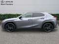 Lexus UX 250h Black Line+cam+gps+sens V+A Grau - thumbnail 5