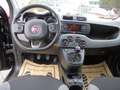 Fiat Panda Panda TwinAir 85 4x4 Wild Wild Schwarz - thumbnail 10