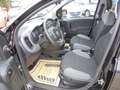 Fiat Panda Panda TwinAir 85 4x4 Wild Wild Schwarz - thumbnail 12