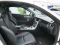 Mercedes-Benz SLC 200 Automatik Leder Airscarf Panorama-Dach Blanc - thumbnail 7