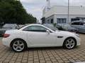 Mercedes-Benz SLC 200 Automatik Leder Airscarf Panorama-Dach Blanc - thumbnail 4