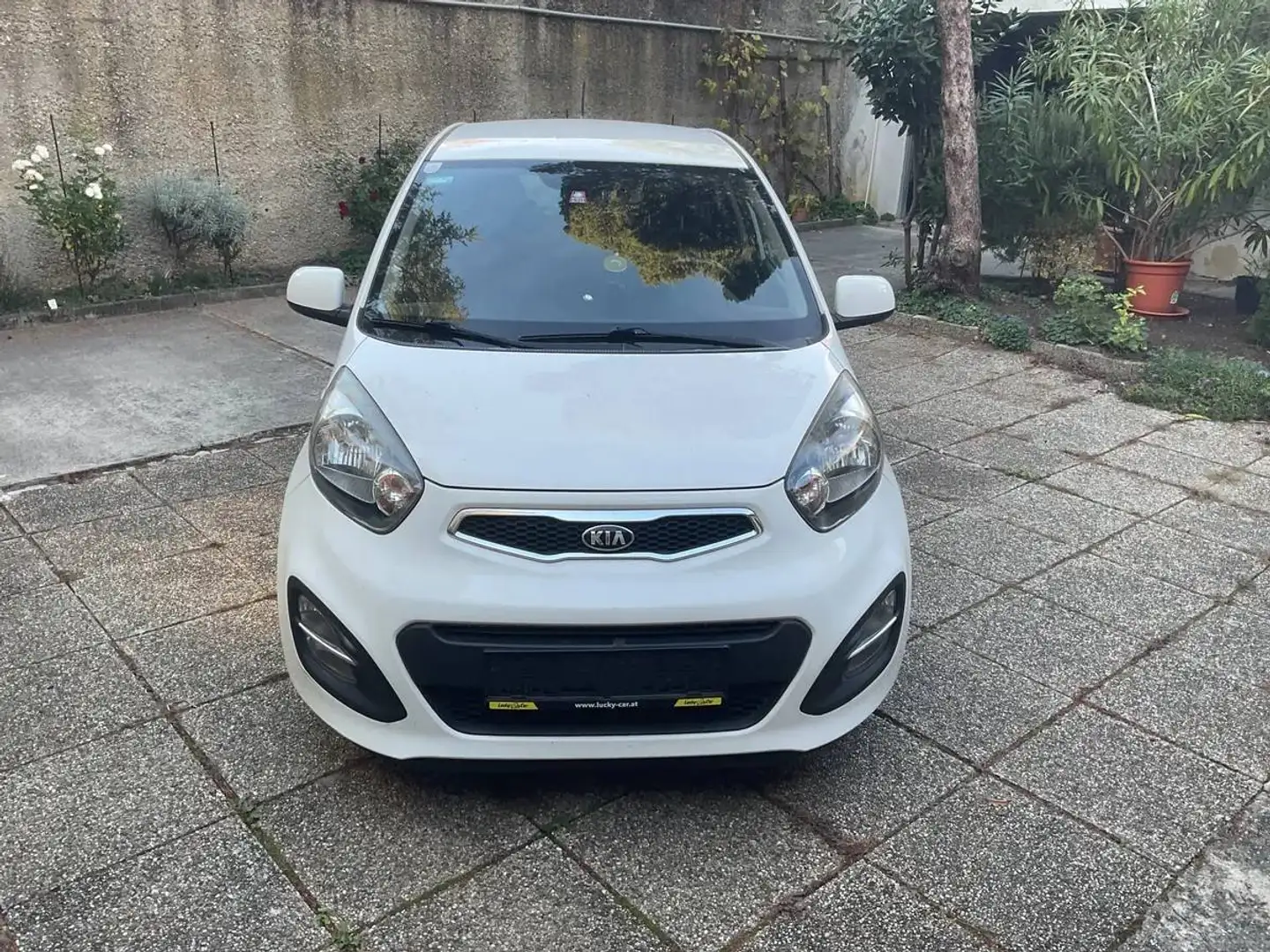 Kia Picanto Picanto 1,2 MPI Silber Silber Weiß - 1