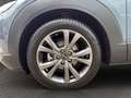 Mazda CX-30 X 186PS Selection ACAA+DES-P+KLIMA+KAMERA+MATRIX-L Grau - thumbnail 6