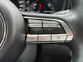 Mazda CX-30 X 186PS Selection ACAA+DES-P+KLIMA+KAMERA+MATRIX-L Grau - thumbnail 13
