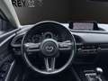 Mazda CX-30 X 186PS Selection ACAA+DES-P+KLIMA+KAMERA+MATRIX-L Grau - thumbnail 10