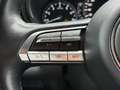 Mazda CX-30 X 186PS Selection ACAA+DES-P+KLIMA+KAMERA+MATRIX-L Grau - thumbnail 12