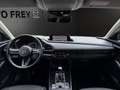 Mazda CX-30 X 186PS Selection ACAA+DES-P+KLIMA+KAMERA+MATRIX-L Grau - thumbnail 19