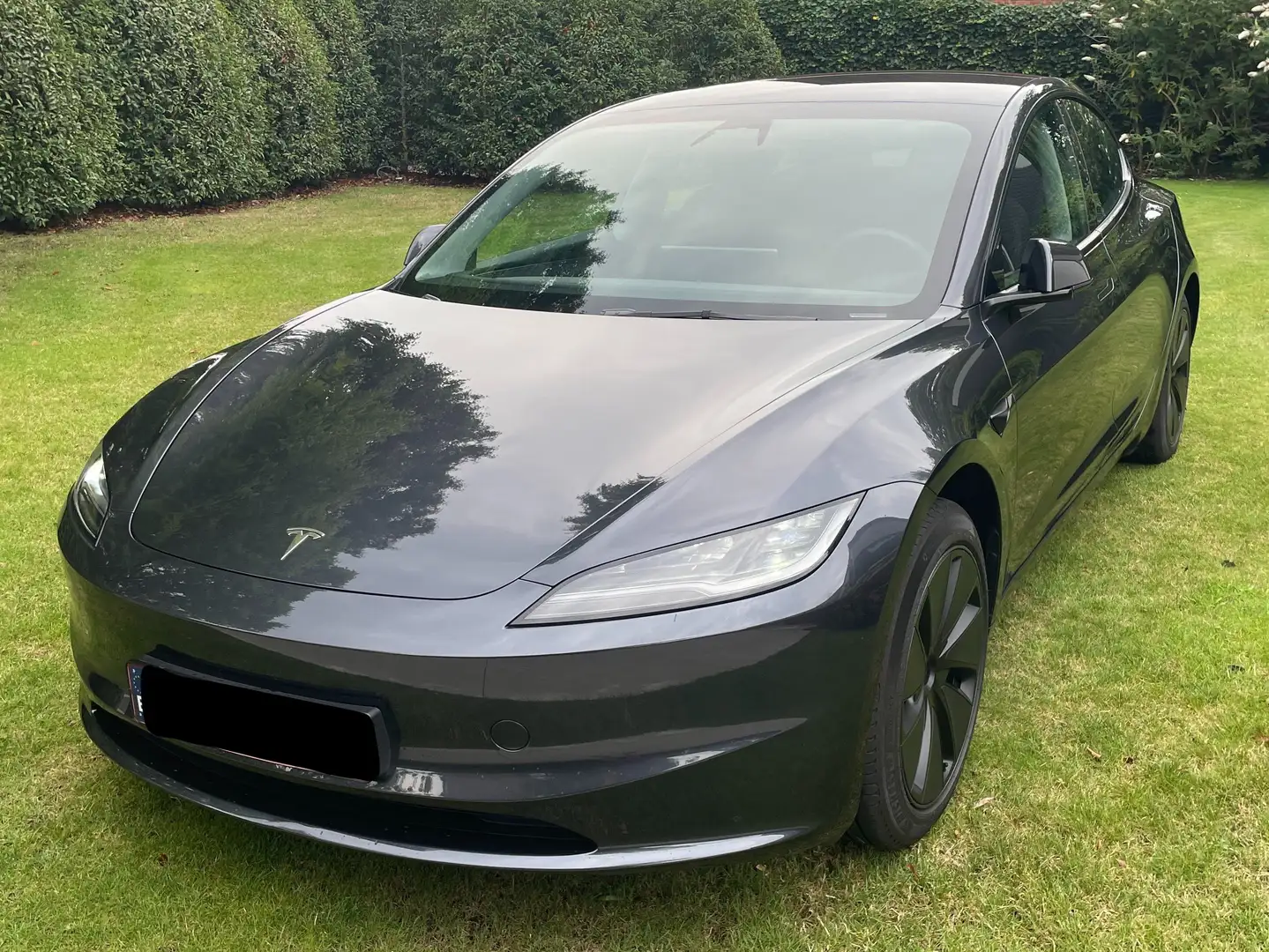 Tesla Model 3 Model 3 RWD Hinterradantrieb Gris - 2