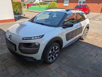 Shine Edition