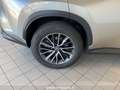 Lexus NX 300 450 H 4WD PREM NG22 PLUG IN Argento - thumbnail 10