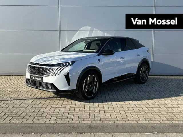 Peugeot 3008 e-3008 210 GT +pano dak+warmtepomp