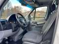 Mercedes-Benz SPRINTER 414 CDI - PRONTA CONSEGNA Weiß - thumbnail 11