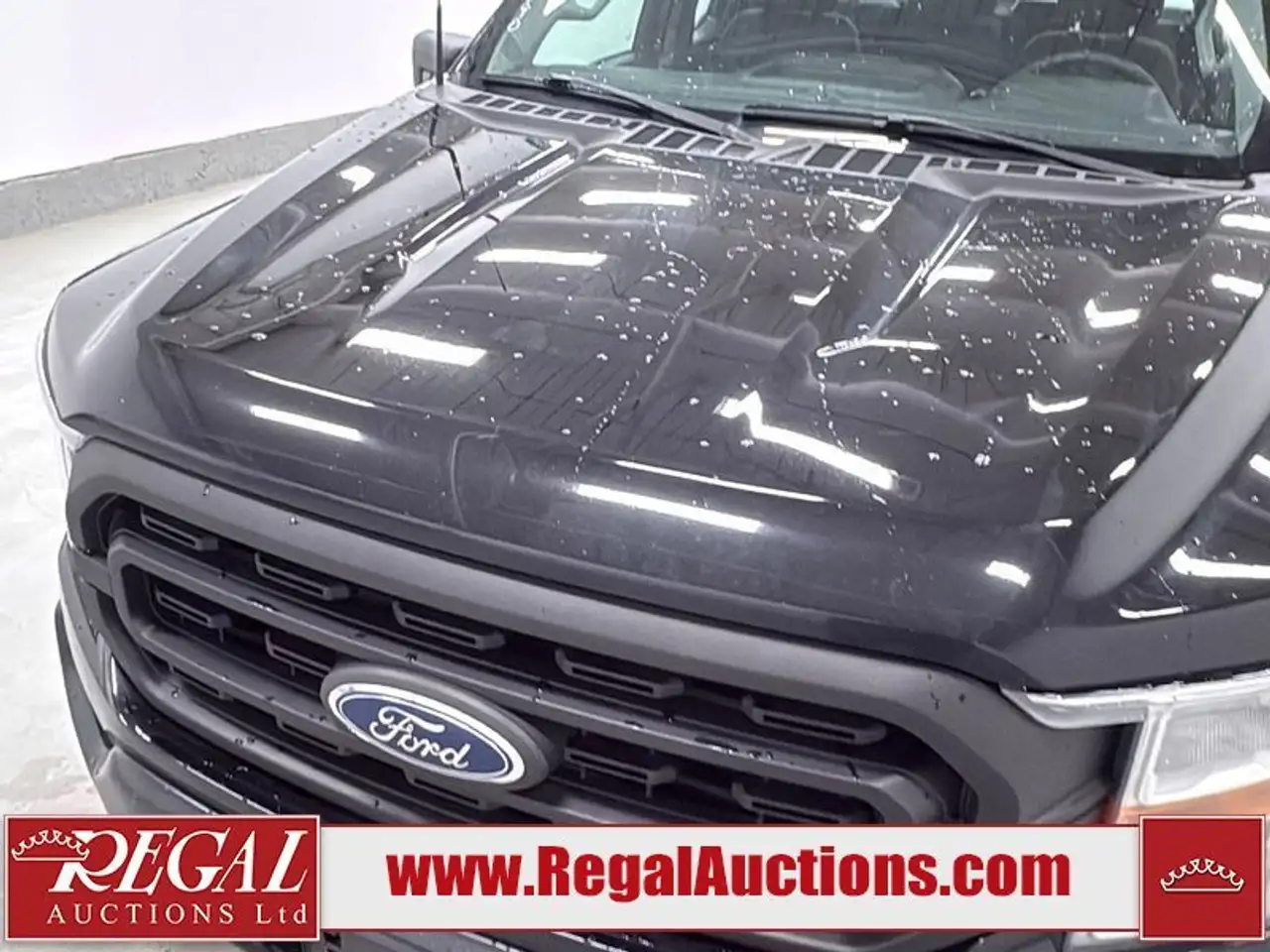 Ford F 150 photo Ford F 150