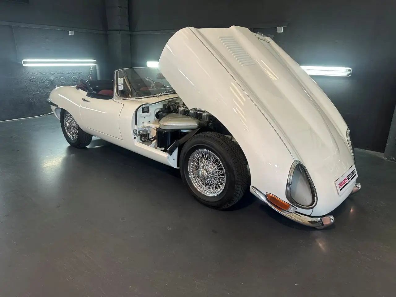 Jaguar E-Type FOND PLAT, foto 6