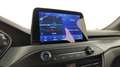 Ford Focus 1.5 ecoblue ST-Line X 120cv auto Grau - thumbnail 13