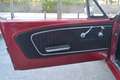 Ford Mustang 289 Cabrio Rojo - thumbnail 17