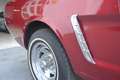 Ford Mustang 289 Cabrio Rojo - thumbnail 32