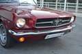 Ford Mustang 289 Cabrio Rojo - thumbnail 38