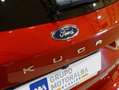 Ford Kuga ST-Line X 2.5 Duratec PHEV 165kW Auto Rojo - thumbnail 7