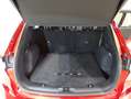 Ford Kuga ST-Line X 2.5 Duratec PHEV 165kW Auto Rojo - thumbnail 5