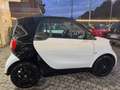 smart forTwo 70 1.0 Youngster *PREZZO REALE*KM CERTIFICATI* Weiß - thumbnail 9