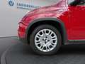 Fiat Panda Panda Rot - thumbnail 20
