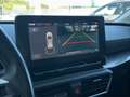 SEAT Leon Grau - thumbnail 29