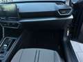 SEAT Leon Grau - thumbnail 14