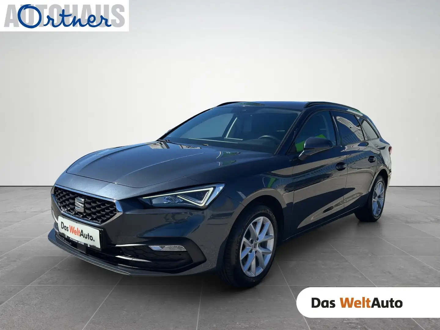SEAT Leon Grau - 1