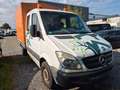 Mercedes-Benz Sprinter II Pritsche/Plane/DoKa 313 CDI Weiß - thumbnail 2