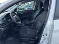 Fiat Tipo Hybrid 1.5 eDCT7 130 Cross 5T Weiß - thumbnail 5