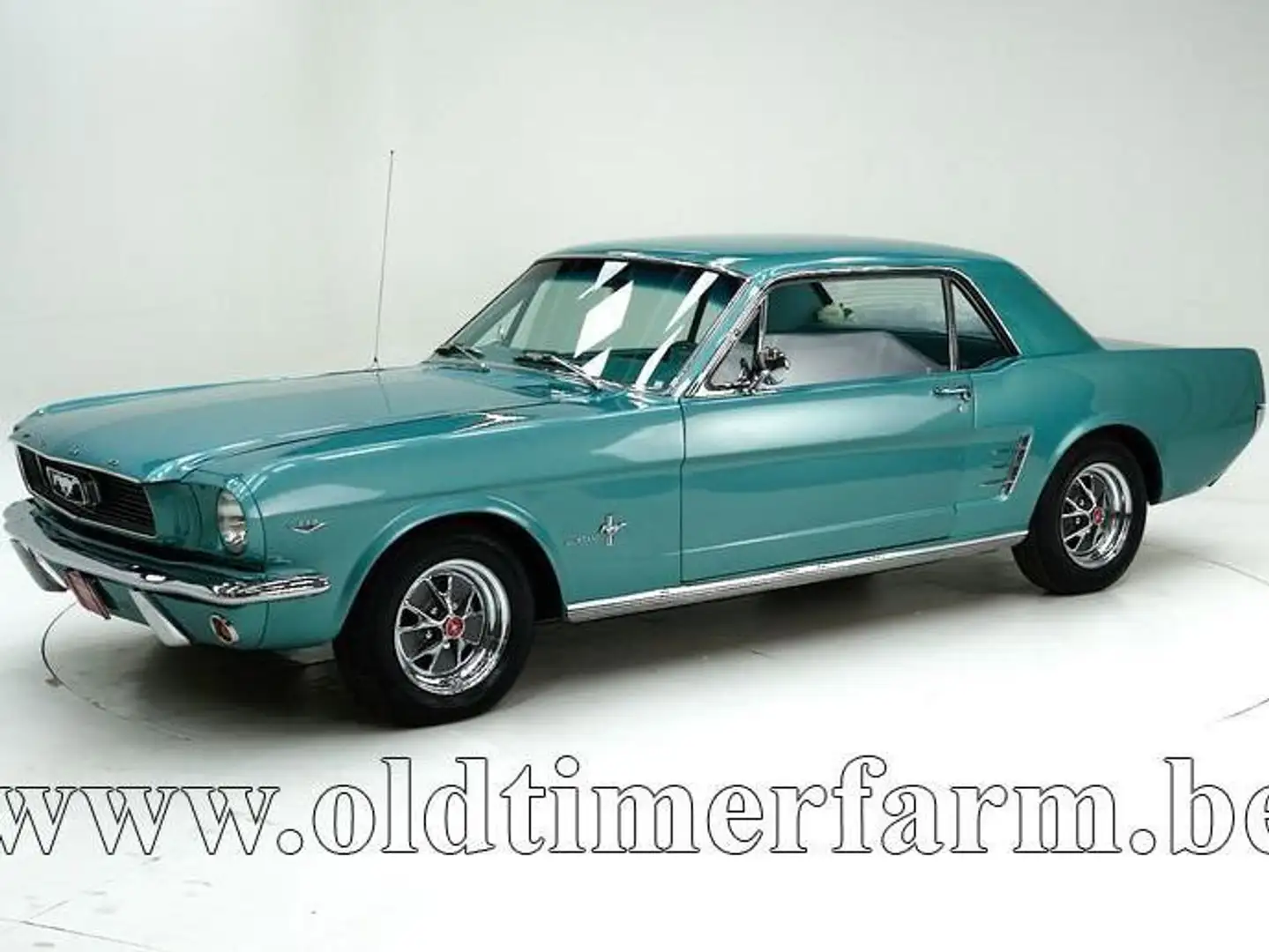 Ford Mustang V8 '66 CH6476 Vert - 1
