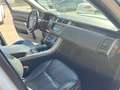 Land Rover Range Rover Range Rover 3.0 tdV6 HSE auto my17 Bianco - thumbnail 13